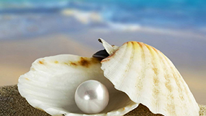 Searching for Pearls with Michigan Psychic Medium Lisa Bousson